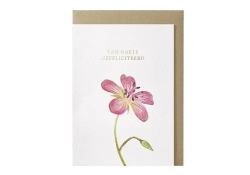 Papette Carte de vœux Van harte gefeliciteerd