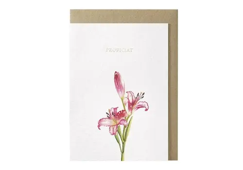 Papette Proficiat greeting card