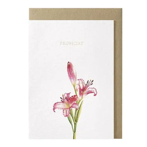 Proficiat greeting card 