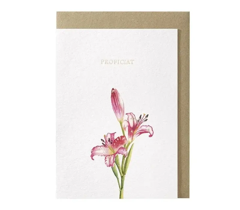 Proficiat greeting card