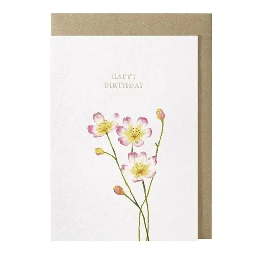 Happy birthday greeting card 