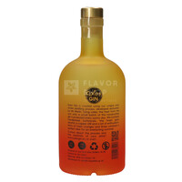 Gin Solar 50 cl