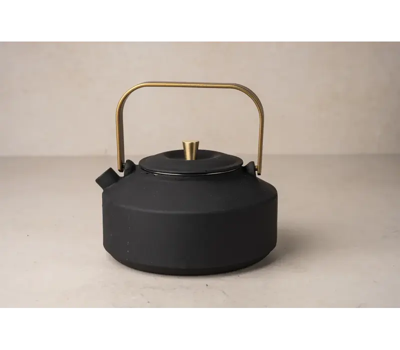 Teapot with filter "Ning" - black/gold 0.8 L