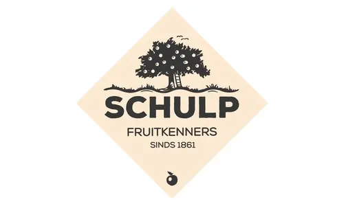 Schulp