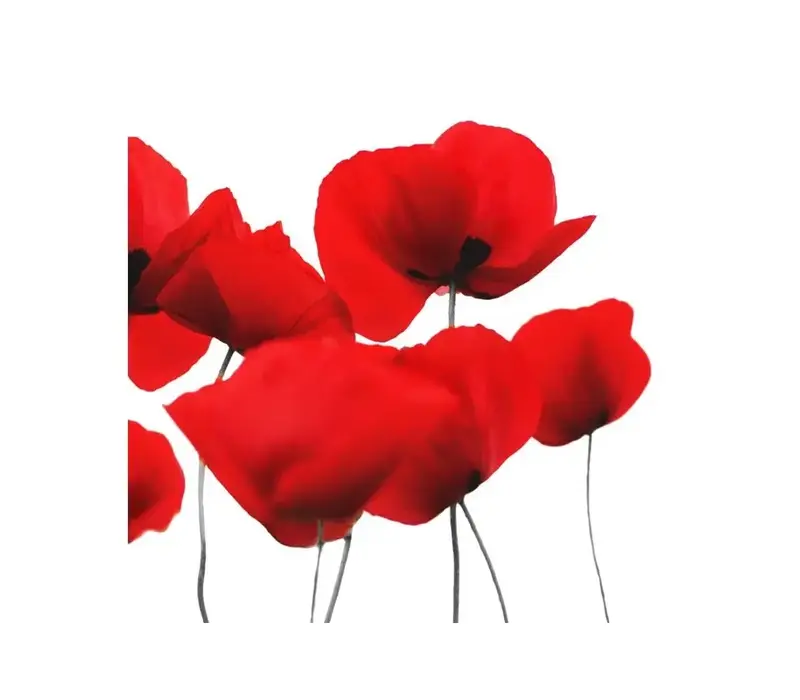 Servietten Coquelicot 25 x 25 cm