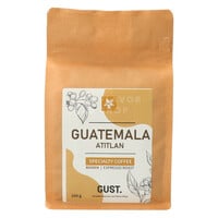 Atitlàn - Guatemala Espresso Kaffeebohnen 250 g Flavor Shop
