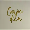 Spruchfliese Carpe diem - creme