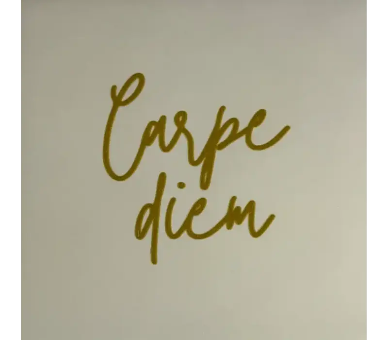 Wenstegeltje Carpe diem - creme
