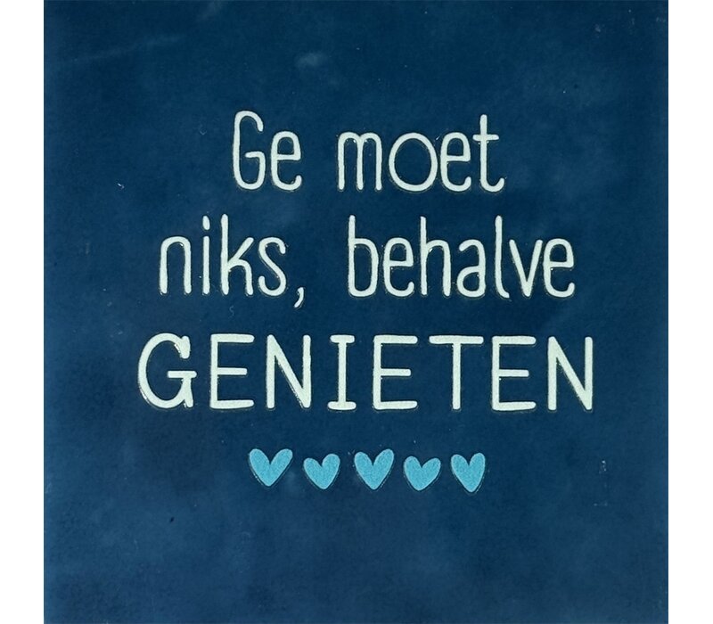 Carreau à message Ge moet niks, behalve genieten - bleu foncé