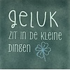 Yett Spruchfliese Geluk zit in de kleine dingen - meergrün
