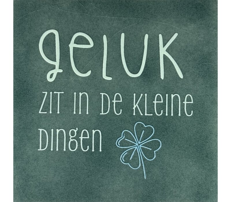Spruchfliese Geluk zit in de kleine dingen - meergrün