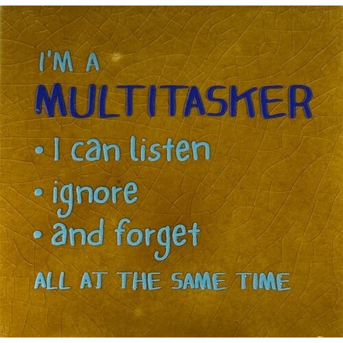 Wenstegeltje I'm a multitasker - oker 