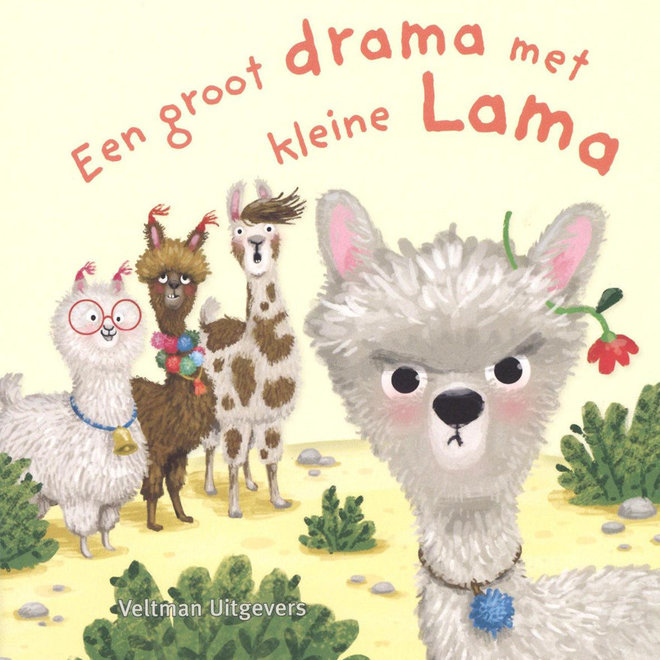 Een groot drama met kleine lama