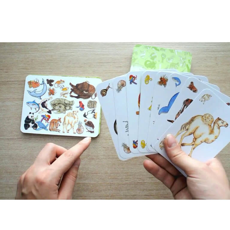 Vergevingsgezind spanning Ploeg Djeco kaartspel Zanimatch (5-9 jaar) - De Speelgoedwinkel