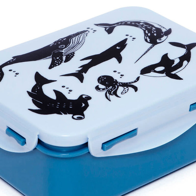 Petit Monkey Lunchbox Zeedieren