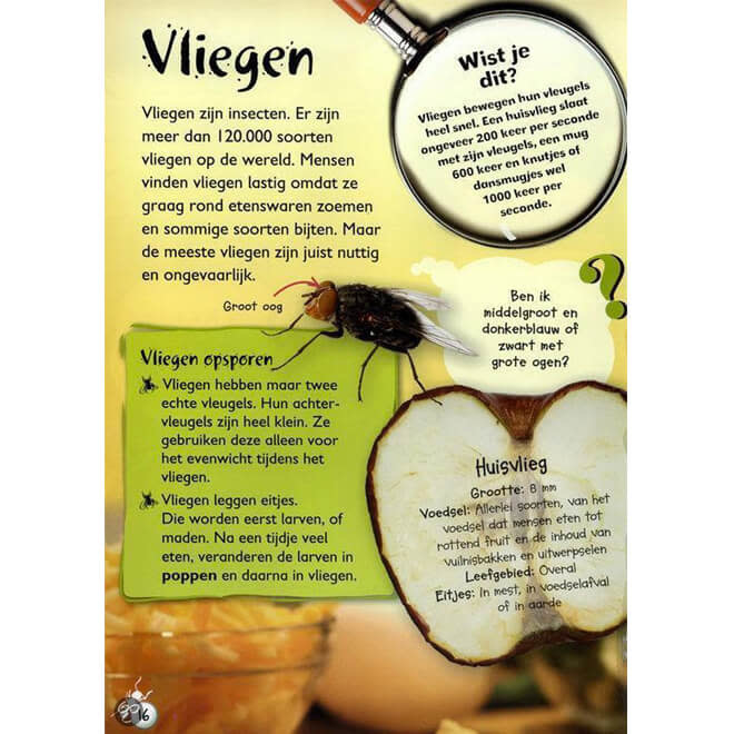 Natuuronderzoekers - In het BOS