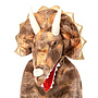 Verkleedset Triceratops met Klauwen