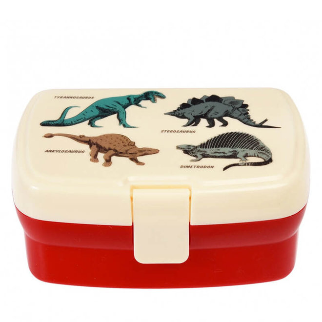 Lunchbox met vakjes dino's