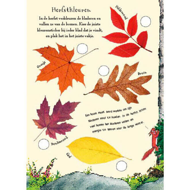 Het Gruffalo Herfst Natuurspeurboek