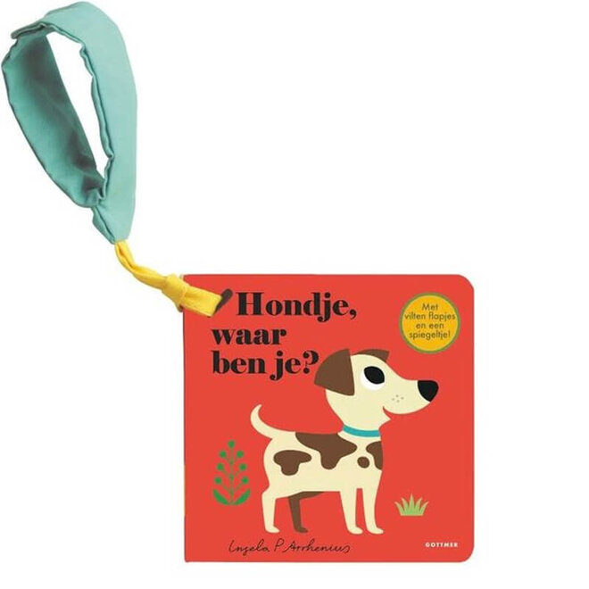 Hondje, waar ben je? - Buggyboekje