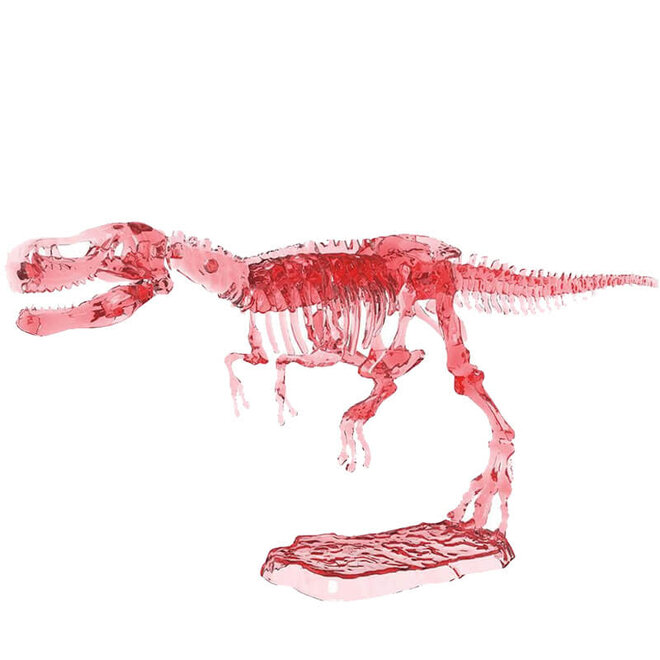 Uithakset Dinosaurus Skelet (glow in the dark)