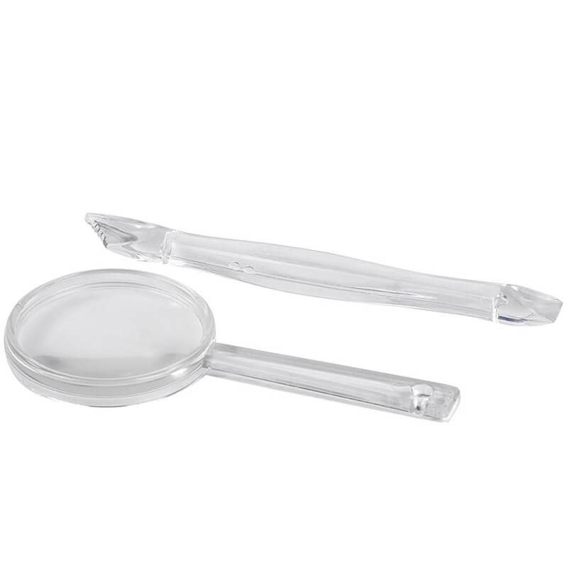 Uithakset Dinosaurus Skelet (glow in the dark)