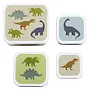 Lunch & Snackbox Set Dinosaurussen