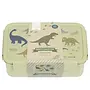 Bento Lunchbox Dinosaurussen