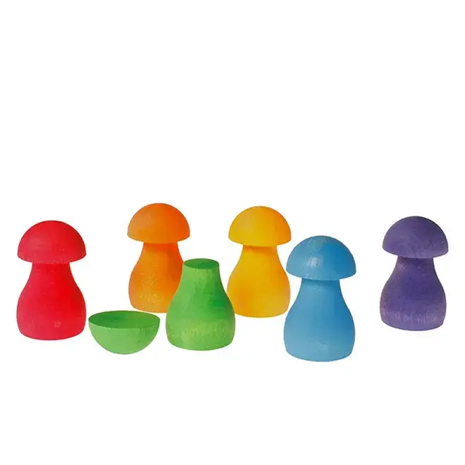 Paddenstoelen regenboog