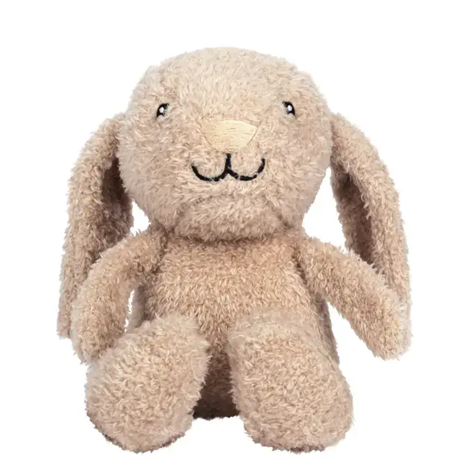 Knuffel konijn met licht