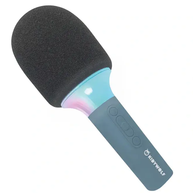 Karaoke microfoon blauw