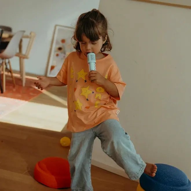 Kidywolf Karaoke Speaker & Microfoons