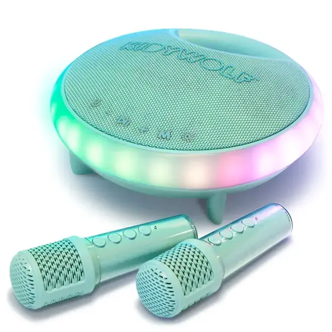 Karaoke speaker en microfoons