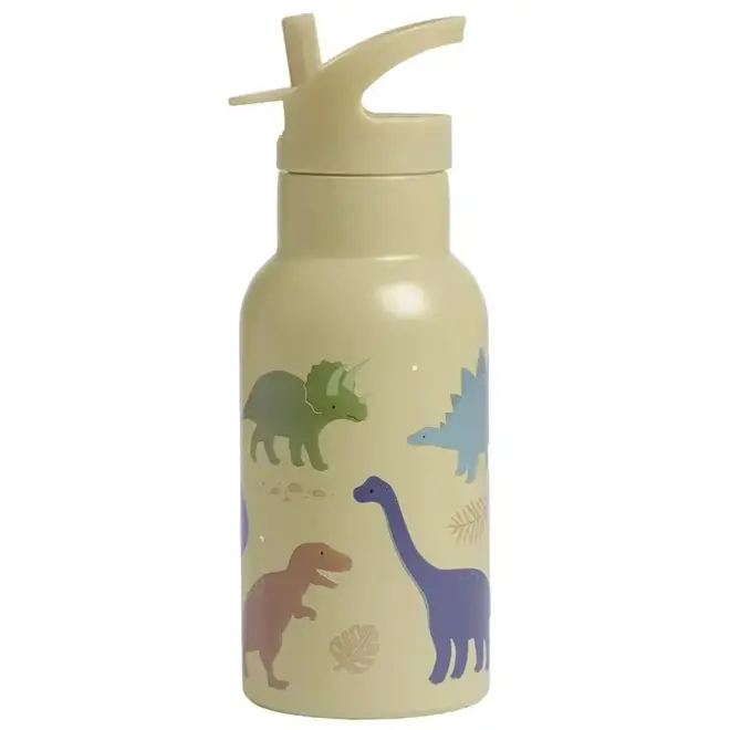 RVS drinkfles dinosaurussen