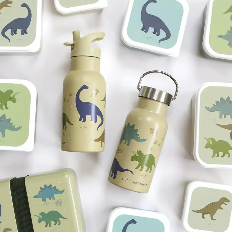 Drinkfles Dinosaurussen RVS