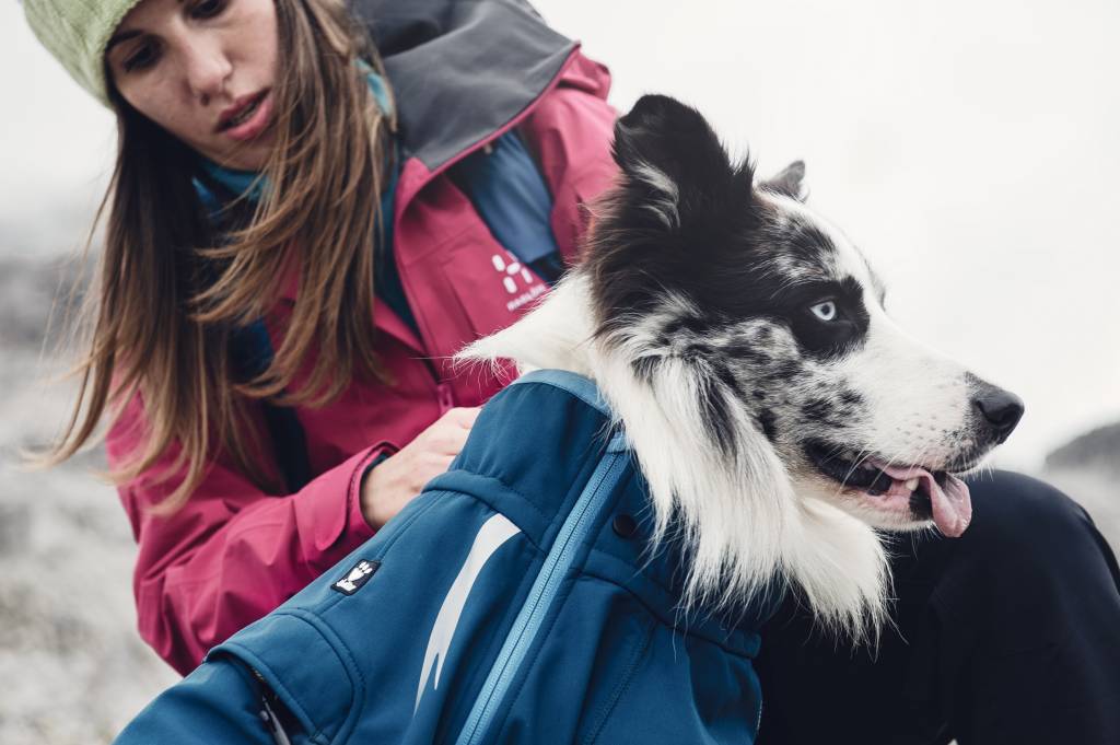 Die SoftshellJacke Chill Stopper für die Übergangszeit oder Hunde ohne