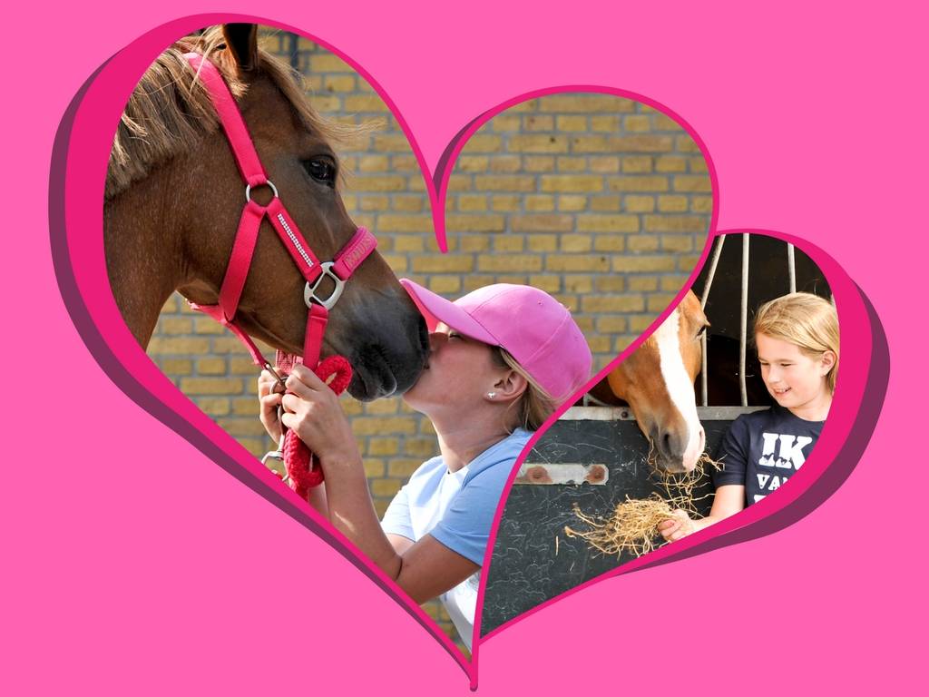 10 redenen waarom Tessa een eigen pony heeft