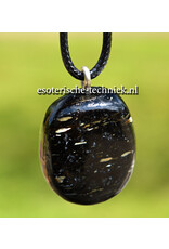 Orgone orgonite hanger Nuummite AA kwaliteit uit Groenland