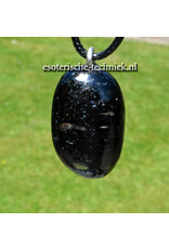 Orgone orgonite hanger Nuummite AA kwaliteit uit Groenland