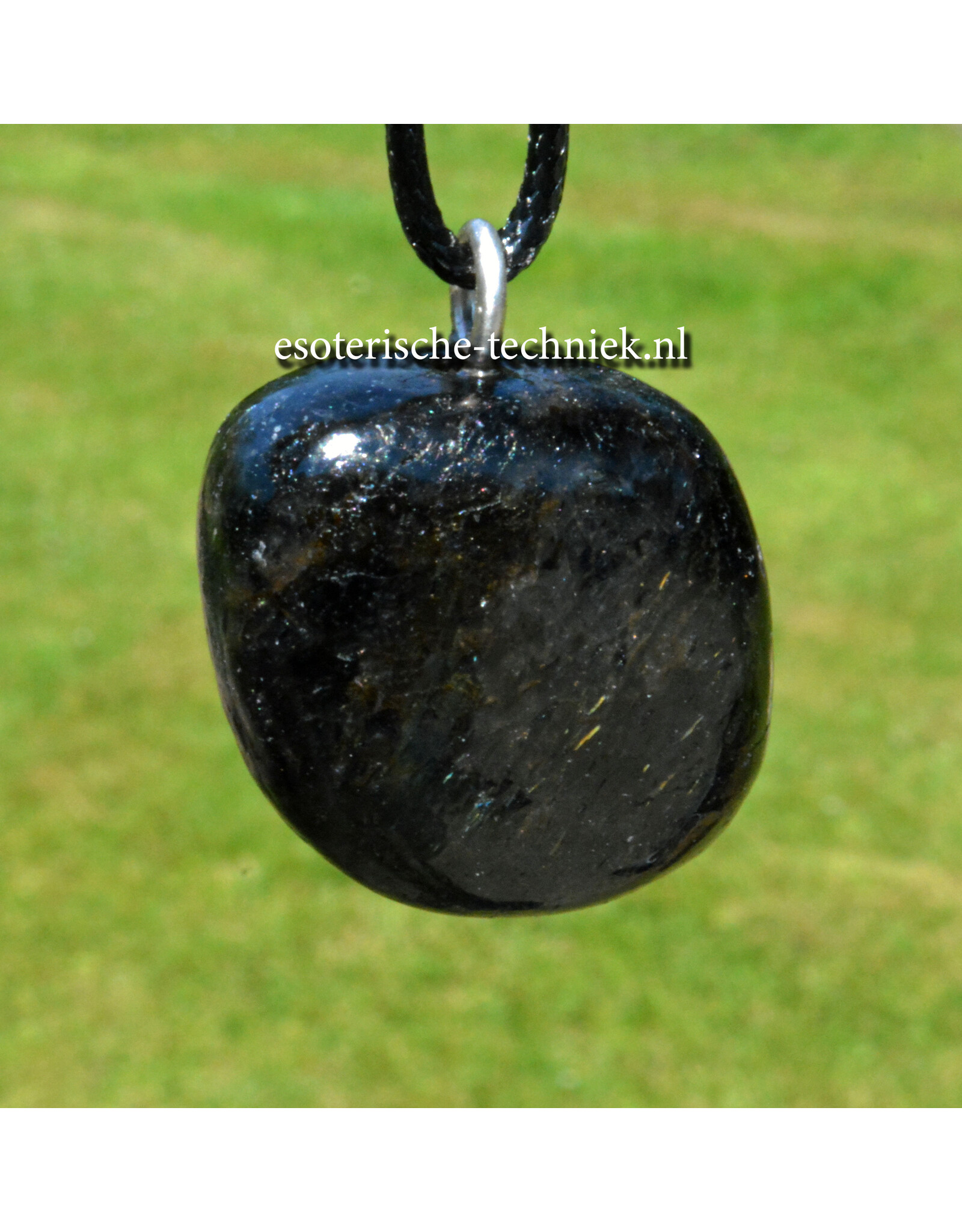 Orgone orgonite hanger Nuummite AA kwaliteit uit Groenland