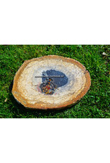 Orgonite Versteend Palmboom Hout, Mookaïet, Herkimers en Shungite