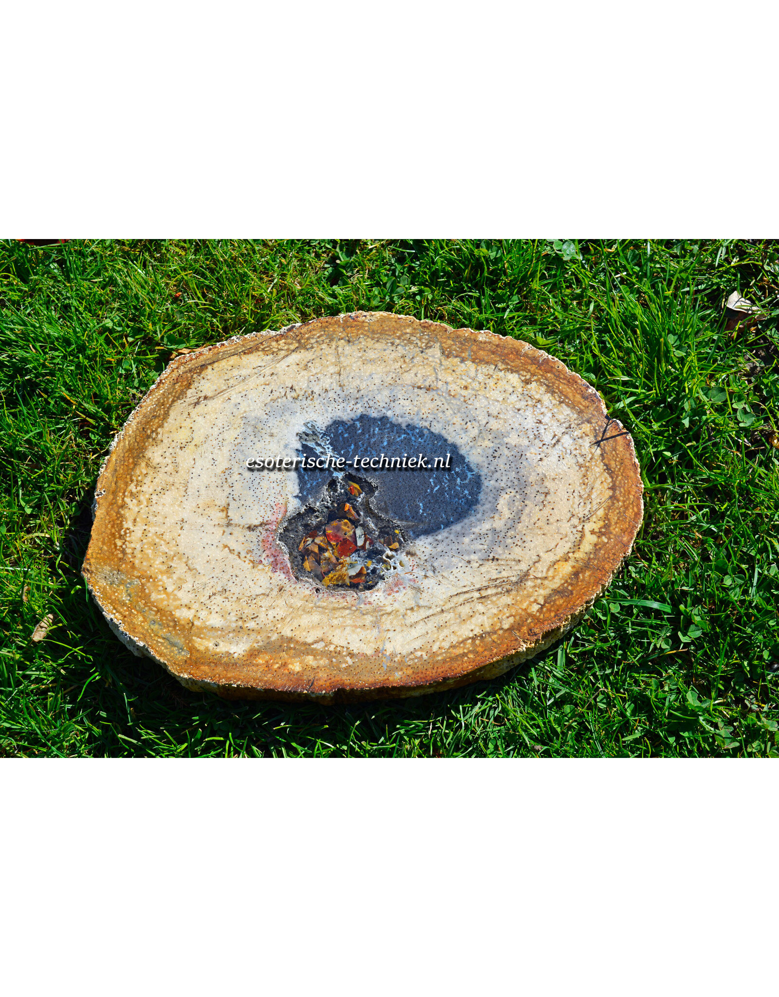 Orgonite Versteend Palmboom Hout, Mookaïet, Herkimers en Shungite
