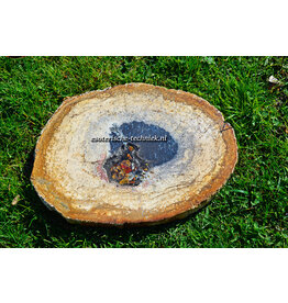 Orgonite Versteend Palmboom Hout (Pohon Kelapa)