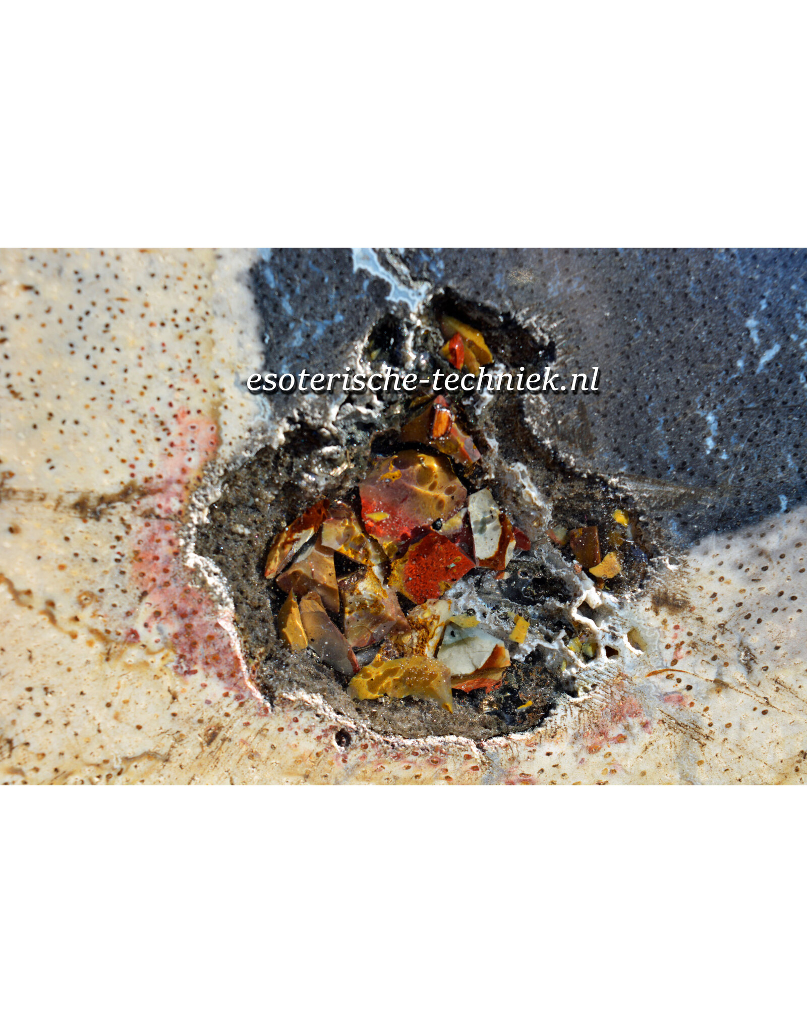 Orgonite Versteend Palmboom Hout, Mookaïet, Herkimers en Shungite