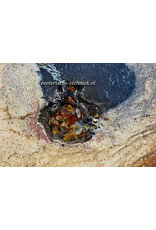 Orgonite Versteend Palmboom Hout, Mookaïet, Herkimers en Shungite