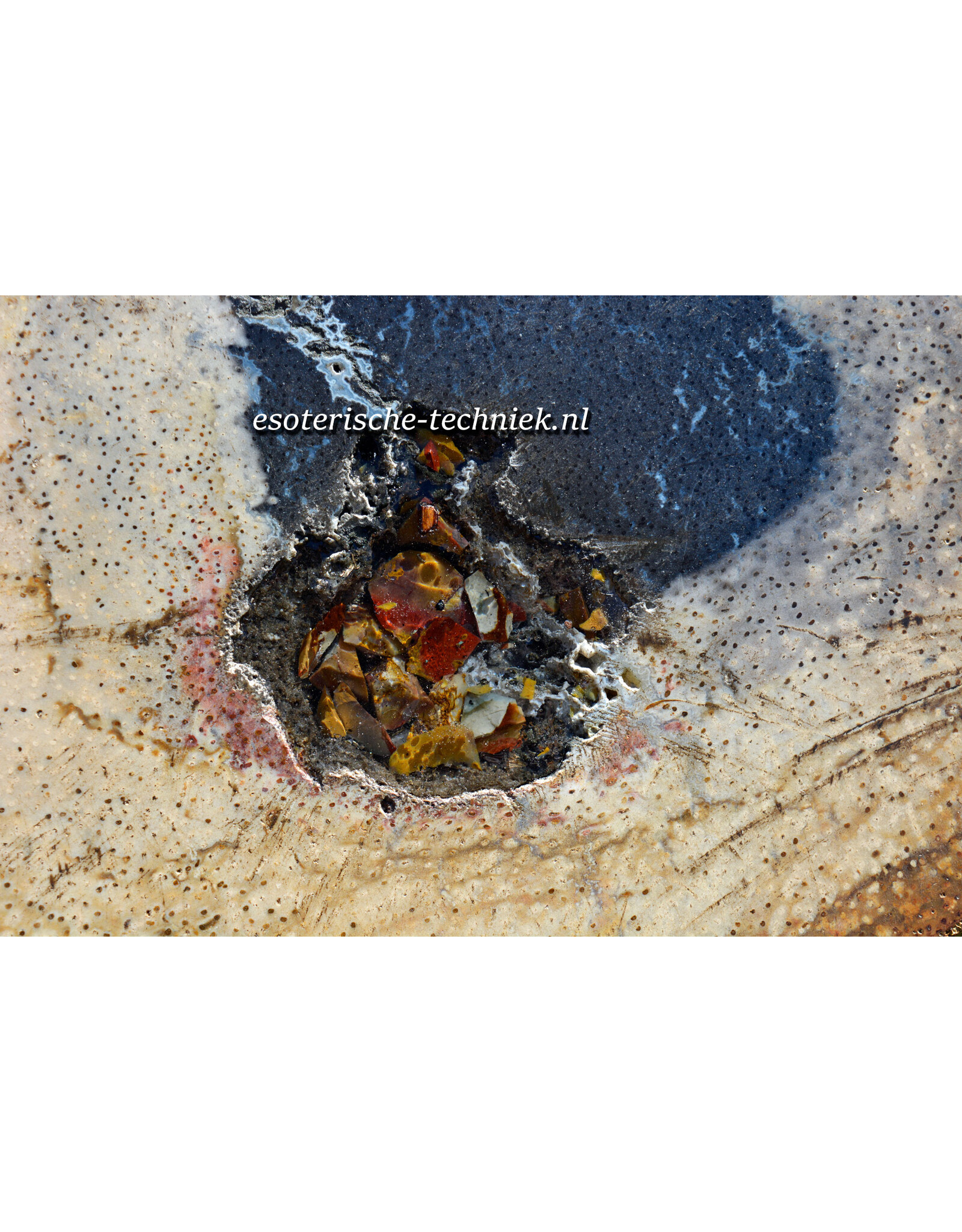 Orgonite Versteend Palmboom Hout, Mookaïet, Herkimers en Shungite