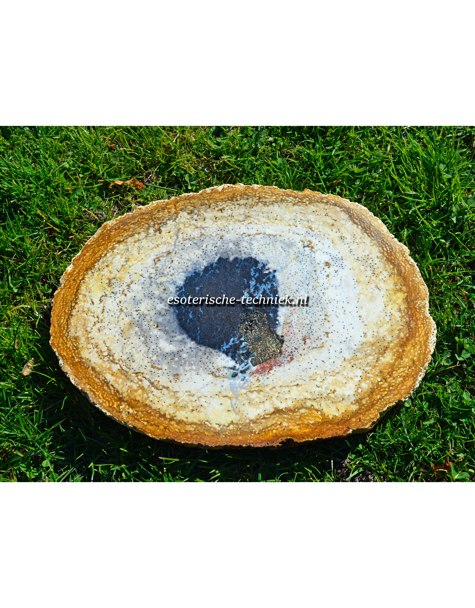 Orgonite Versteend Palmboom Hout, Mookaïet, Herkimers en Shungite