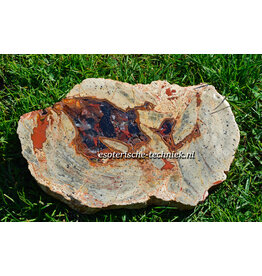 Orgonite Versteend Hout Nuummiet