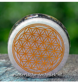 Orgonite Oplaadschijf Shungite met de Flower of Life