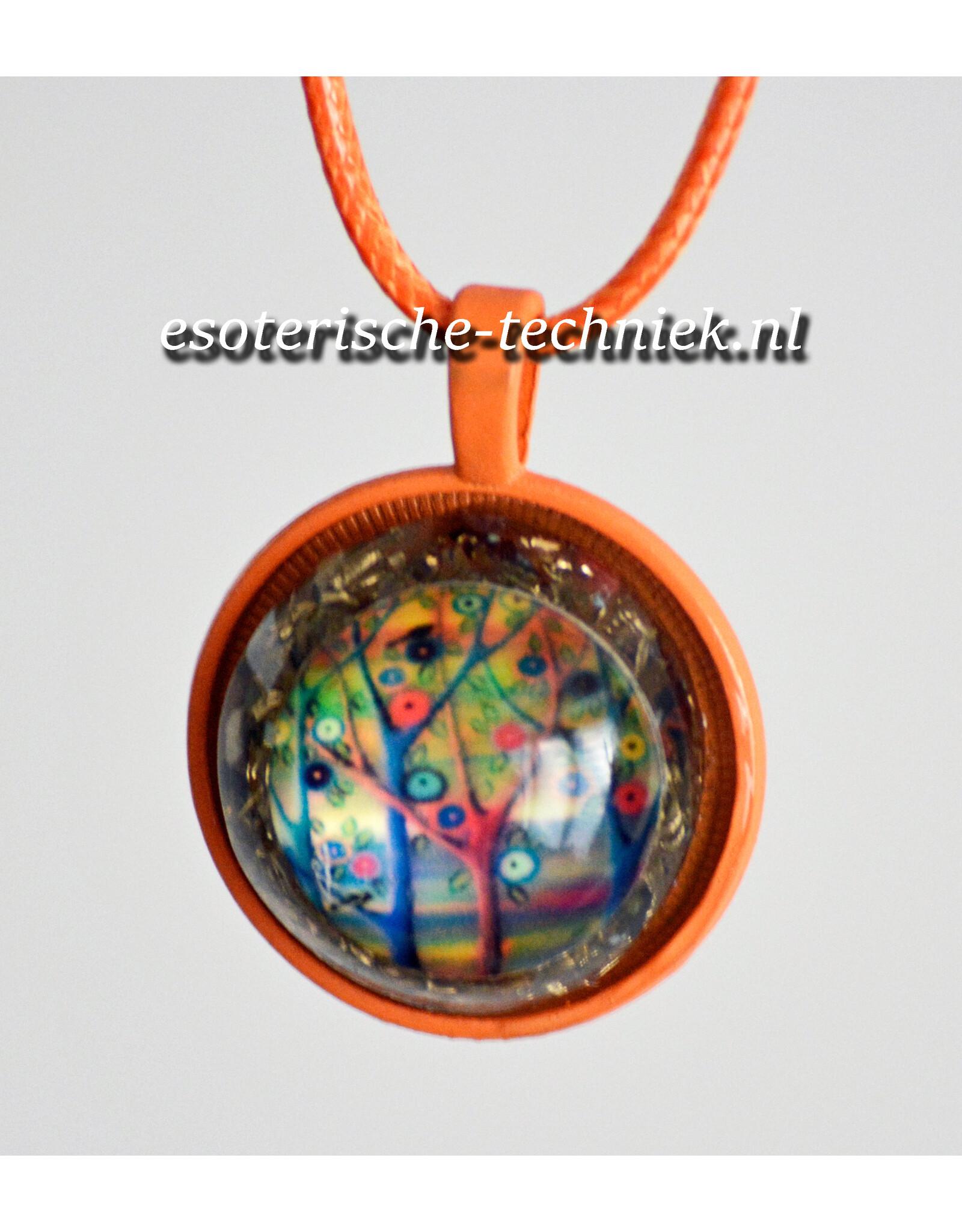 Orgonite  gekleurde hanger voor kinderen met diverse afbeeldingen